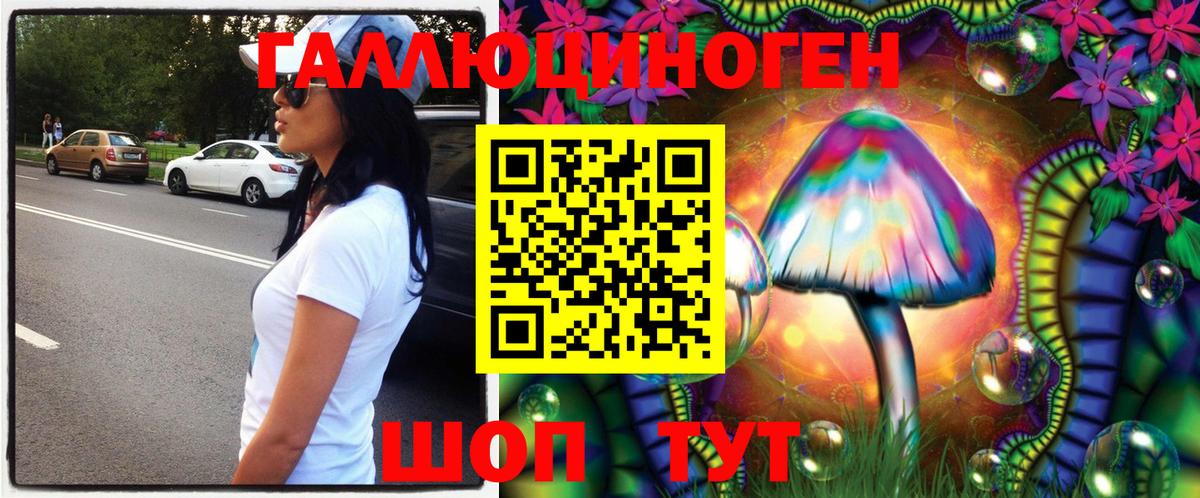 Галлюциногенные грибы Psilocybine cubensis Десногорск